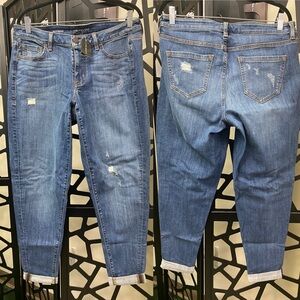 Lane Bryant Blue Boyfriend Jeans